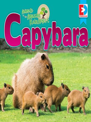 cover image of Animals of the Amazon Rainforest: Capybara